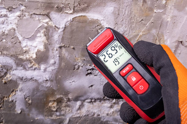 Best Residential Mold Remediation in Gordon, GA