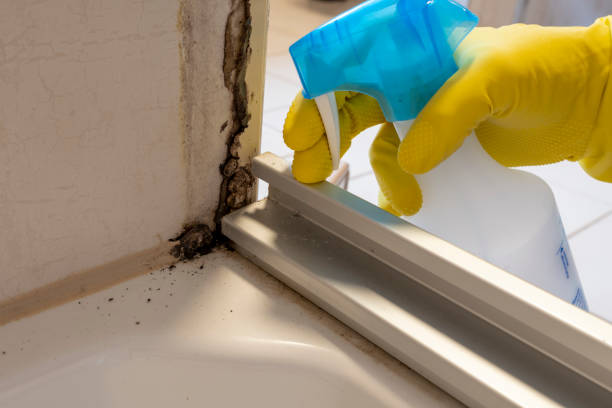Best Mold Testing and Inspection Services in Gordon, GA