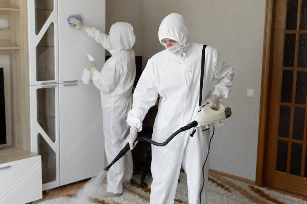 Best Post-Flood Mold Remediation in Gordon, GA