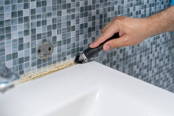 Best Emergency Mold Remediation in Gordon, GA
