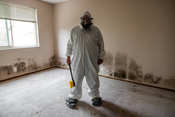 Best Commercial Mold Remediation in Gordon, GA